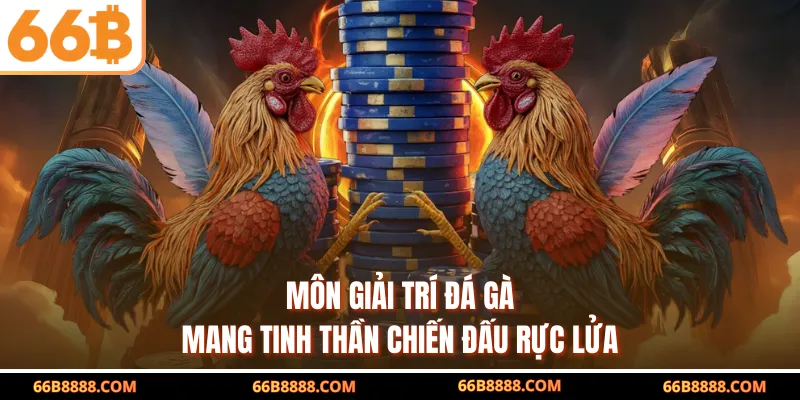 Môn giải trí đá gà mang tinh thần chiến đấu rực lửa
