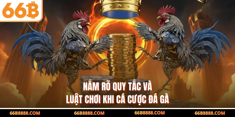 Nắm rõ quy tắc và luật chơi khi cá cược đá gà