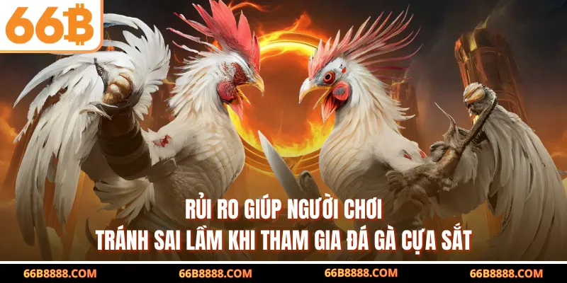 Rủi ro giúp người chơi tránh sai lầm khi tham gia đá gà cựa sắt